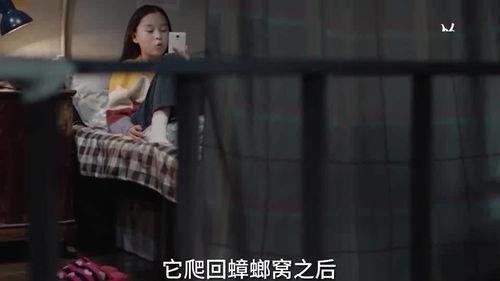 嘉琪姐姐爆料视频在线观看,揭秘幕后真相，带你走进娱乐圈风云